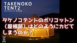 【タケノコテント2抽選販売開始】タケノコテントのポリコットン（屋根部）はどのようにカビてしまうのか？【DOD】