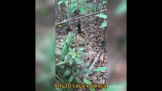 #ceva. no cano de PVC, está sendo filmado pela mais nova camera do canal Mini 301