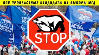 ВСЕ ЕДРОСЫ НА ВЫБОРАХ В МОСГОРДУМУ 2019 САМОМЕДВЕЖЕНЦЫ ЕДИНАЯ РОССИЯ