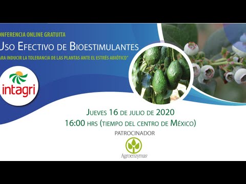 Uso efectivo de bioestimulantes para inducir la tolerancia de las plantas ante el estrés abiótico