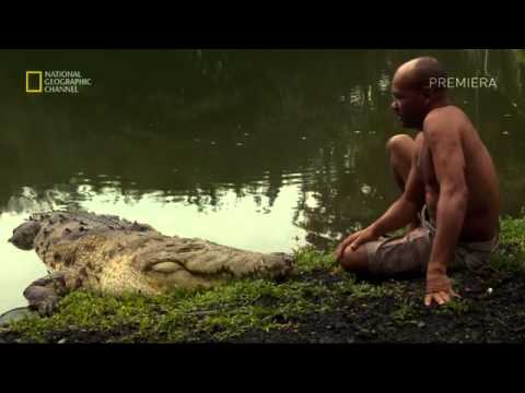 Wideo: Krokodyle Pożerają Dwuletnią Dziewczynkę
