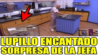 LUPILLO ENCANTADO CON SORPRESA DE LA JEFA! LA CASA DE LOS FAMOSOS 4 EN VIVO