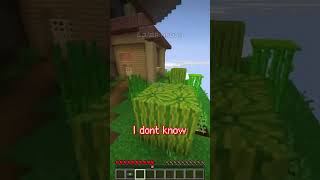 blablabla #lalapinkbun #minecraft #vtuber #memes @lalapinkbun