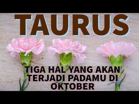 Video: Apa Yang Akan Menjadi Horoskop Taurus Untuk