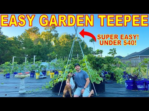 Video: Teepee Plant Support - Cara Membuat Teralis Teepee Untuk Sayuran