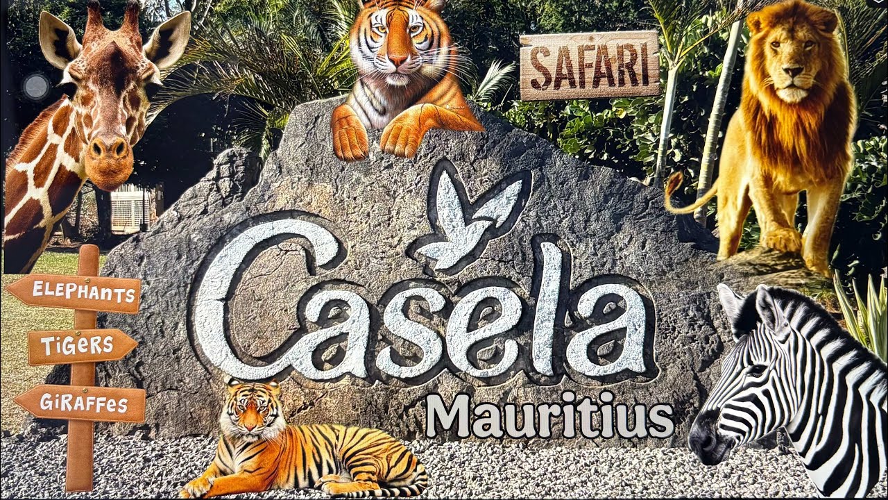 Casela Nature Parks Mauritius | African Safari | Absolute Must Visit | 4K | What to see in Mauritius
