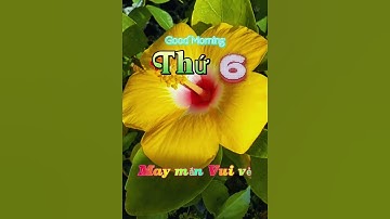Chào Buổi sáng Thứ 6