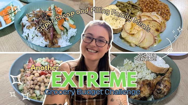 75¢ Meals // $20 Grocery Budget Challenge // Cheap Family Meals