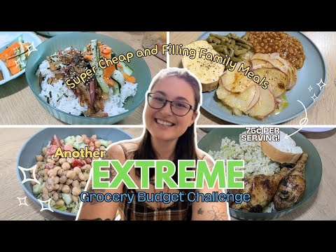 75 Meals 20 Grocery Budget Challenge Cheap Family Meals