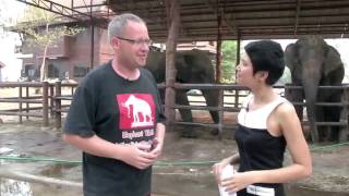 Stay with Elephant at Elephantstay in Thailand