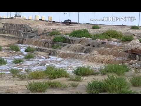 شاطئ الغدير فرسان