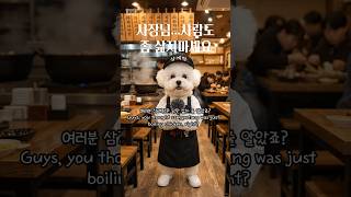 "삼계탕집 사장이 손님보다 알바를 더 삶아버렸습니다…#비숑프리제#강아지#동물인터뷰#삼계탕#삼계탕집#알바생#비숑#웃긴영상#shorts