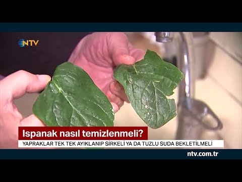 Video: Ispanak Yaprağı Lekelerinin Nedenleri - Ispanak Bitkilerinde Yaprak Lekelerinin Nedenleri