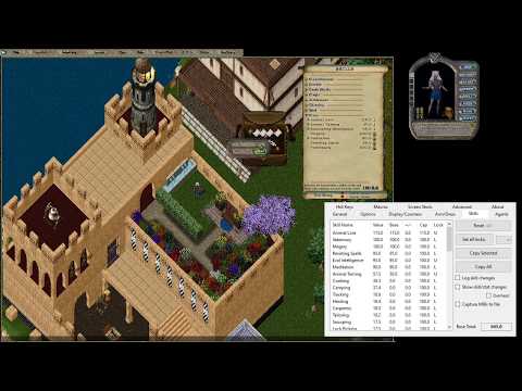 Ultima Online Forever - Building a tamer in no time