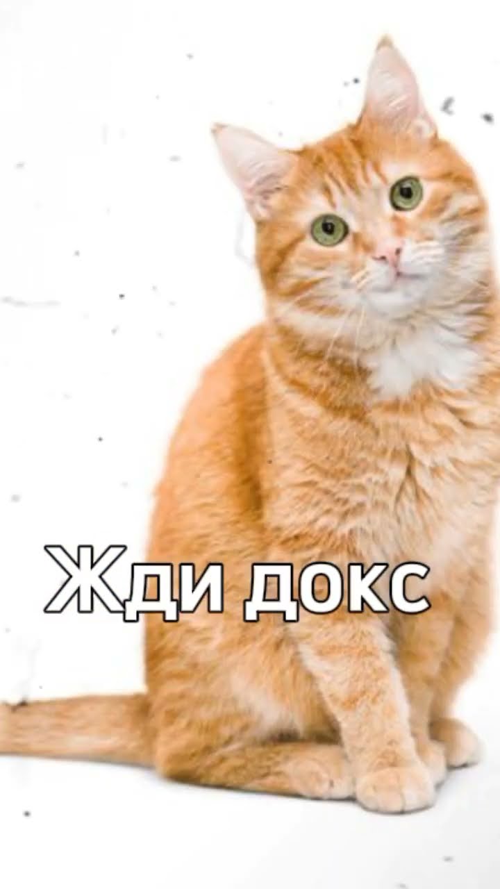 жди докс - YouTube