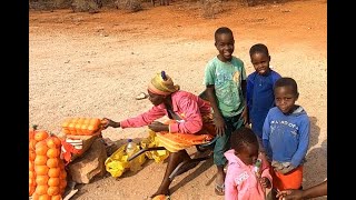 Journey through Southern Zimbabwe