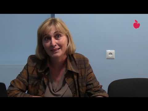 ბიდისი აკადემია