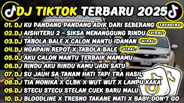 DJ TIKTOK TERBARU 2025🎵DJ CINTA DARI SEBERANG🎵DJ AISHITERU 2 - SIKSA MENANGGUNG RINDU FULL ALBUM