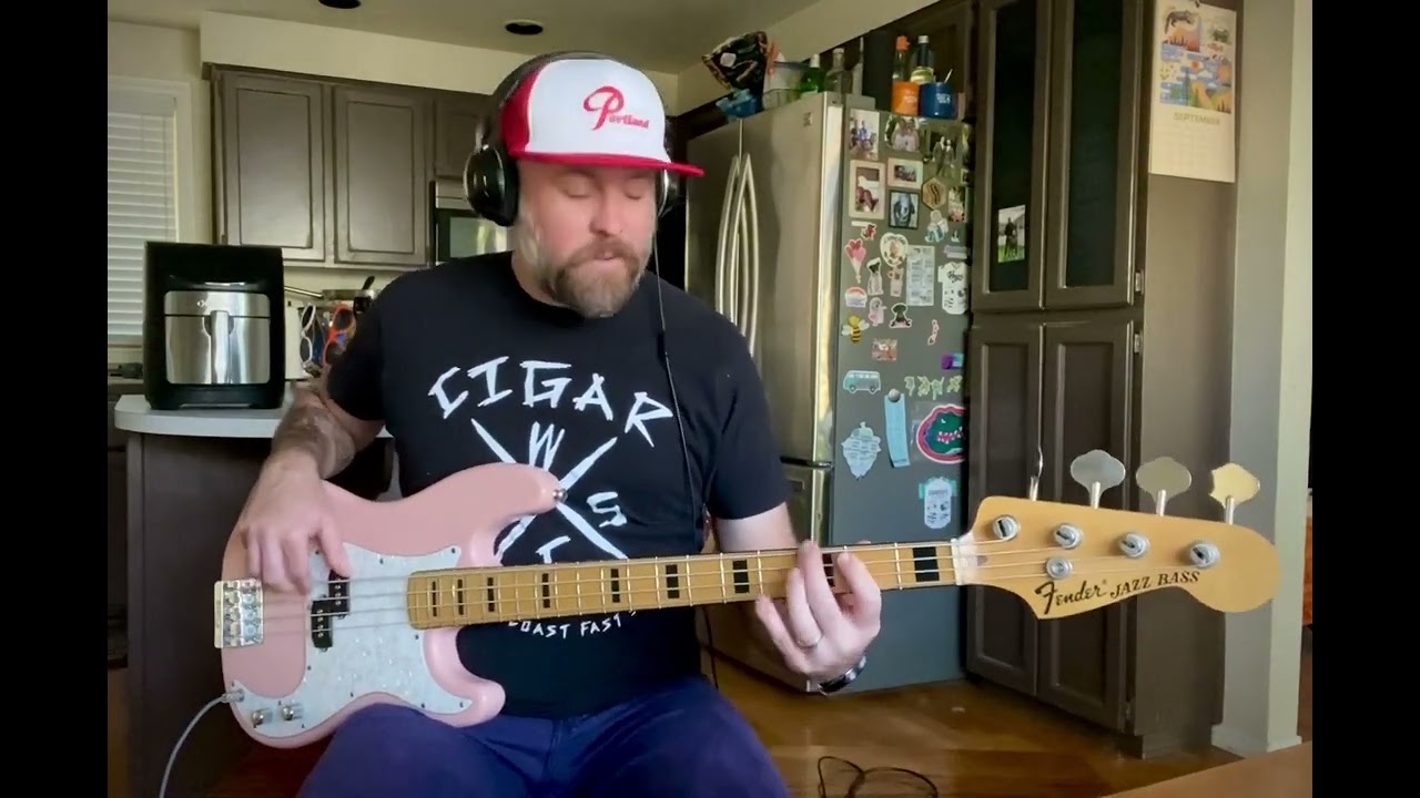 Descendents “Nothing With You” Bass Cover