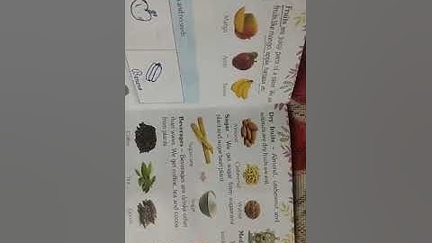 Class-3, Subject-Science, Chapter-6(Food we get from Plants) Part-2,Video-18,By Mrs Varsha.