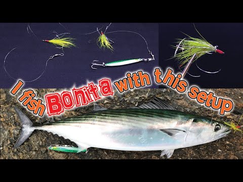 Bonita fishing rig/bucktail + metal jig 