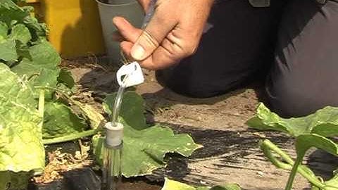 Suction lysimeter installation & use - by MMM tech support