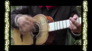 Video-Miniaturansicht von „mariachis en Ibague 3102827059 Monterrey“