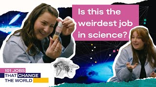 Looking after flies for science | 101 jobs that change the world S3 Ep 1