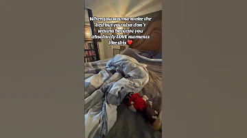 I Love Creating Memories And Special Little Moments Like This With My Dog 