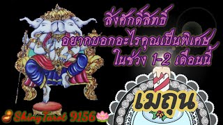 ราศีเมถุน🕊สิ่งศักดิ์สิทธิ์อยากบอกอะไรคุณเป็นพิเศษในช่วง 1-2 เดือนนี้.☘️ 🪔@ShinyTarot 9156🪷