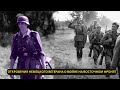 Крики на Восточном фронте: Откровения немецкого ветерана