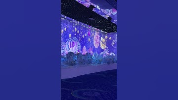 #projection #interactive#immersive projection