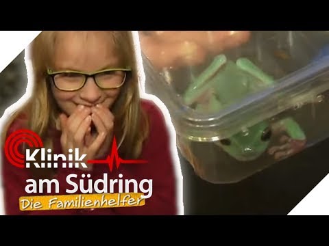 Video: Hat ein Frosch Zähne und hat eine Kröte welche?