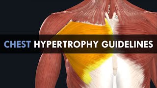 Chest Hypertrophy Training Guidelines | How to Train the Chest for Maximum Growth