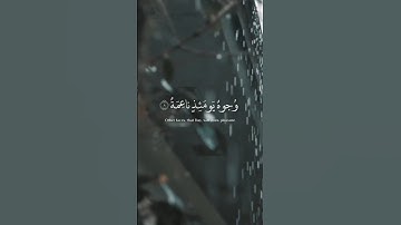 سورة الغاشية|وجوه يومئذ ناعمة| القارئ عبدالرحمن مسعد