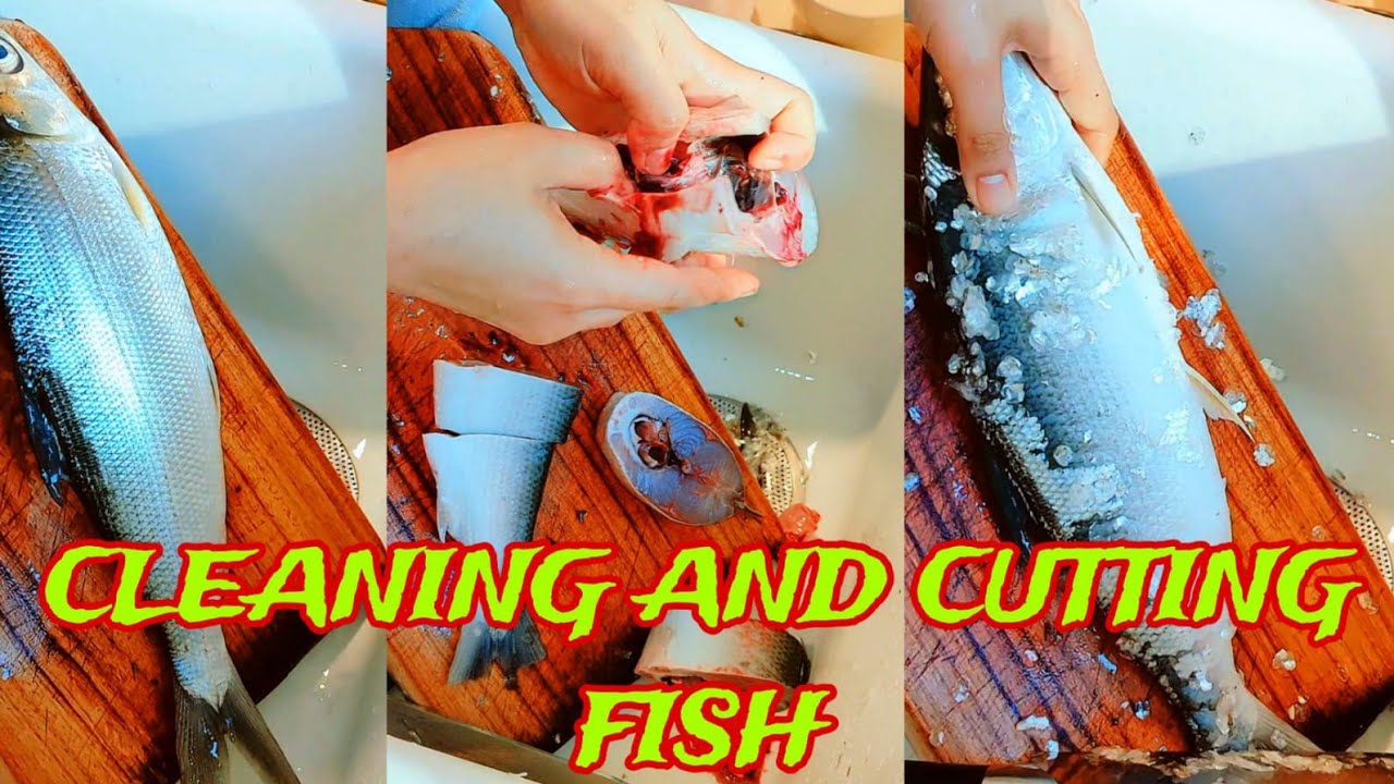 Cleanded Fish LET'S CLEAN AND CUT FISH #CLEANINGFISH #CUTTINGFISH #MILKFISH - YouTube