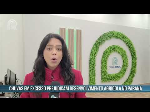 Chuvas prejudicam desenvolvimento agrícola no Paraná | Canal Rural