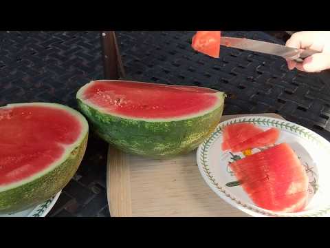 Арбуз с ГМО из Мексики отличное мочегонное :-)
