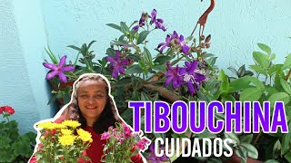 TIBOUCHINA CARE screenshot 3