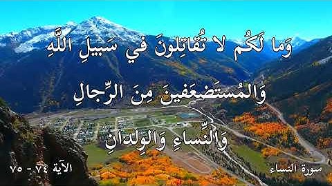 ما تيسر من سورة النساء - الآية ٧٤-٧٥