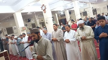 عشائيات | سورة النجم برواية خلف عن حمزة | القارئ رمضان رشاد