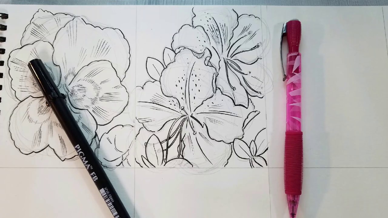How to Draw 🌸Azaleas🌸 YouTube