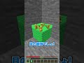 これは目の錯覚? #shorts #マイクラ