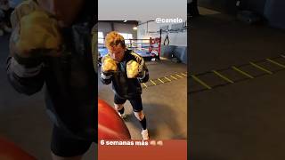 Lo que pasaría si te enfrentas a Canelo Álvarez en primera persona 😱 #canelo #caneloalvarez #shorts