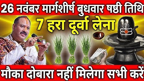 26 नवंबर मार्गशीर्ष बुधवार षष्ठी तिथि, 7 हरी दूर्वा का उपाय अवश्य ही करें Pradeep Ji Mishra