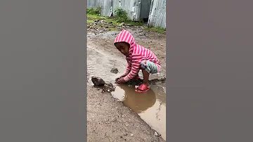 Qamar Yusuf Sirba Joollummaan Dabaarte Wayi Osso Debiite Nin Odeesa Silaa Wan Atii Gotee 