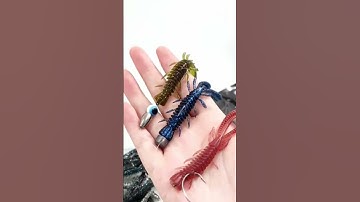 Mồi mềm câu lure cá vược, cá chẽm, trôi, lóc siêu thu hút, câu là dính cá #fishing #shorts