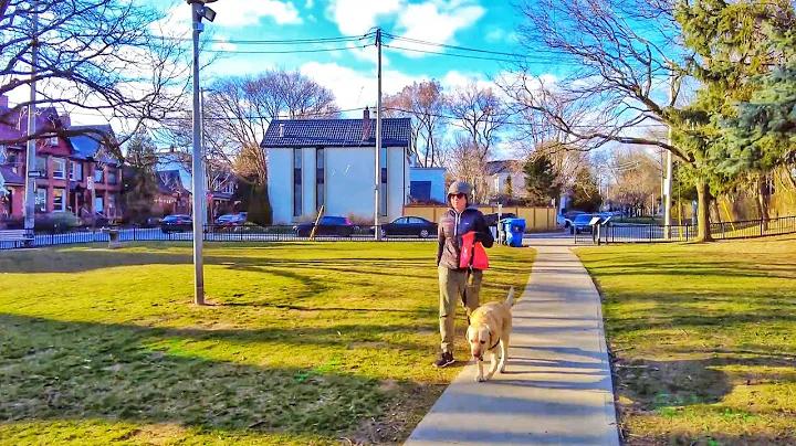 Toronto Walk - Bruce Mackey Park