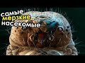 Самые мерзкие насекомые в мире | ТОП 10 самых противных и опасных насекомых в мире