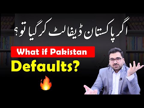 What If Pakistan Defaults? | Pakistan Economy & Situation After Default : Professional's Legacy